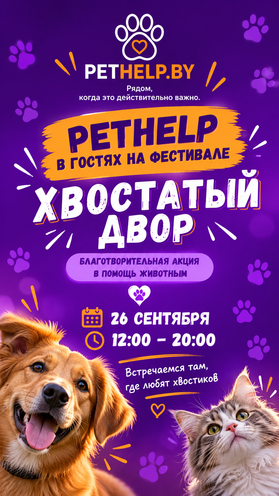 PetHelp в гостях на фестивале «Хвостатый двор» — анонс фестиваля
